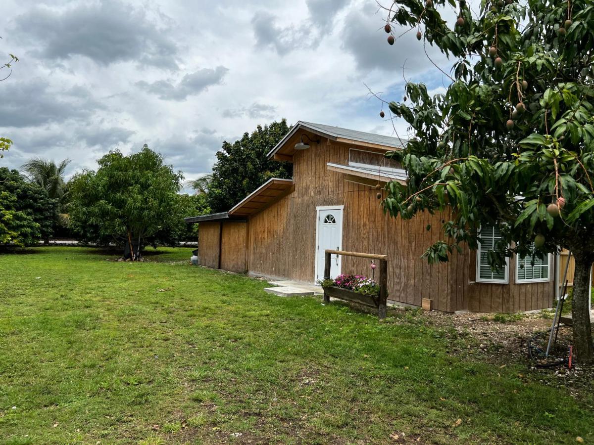 Гостевой дом Maria'S Tiny Barn Хомстед Экстерьер фото